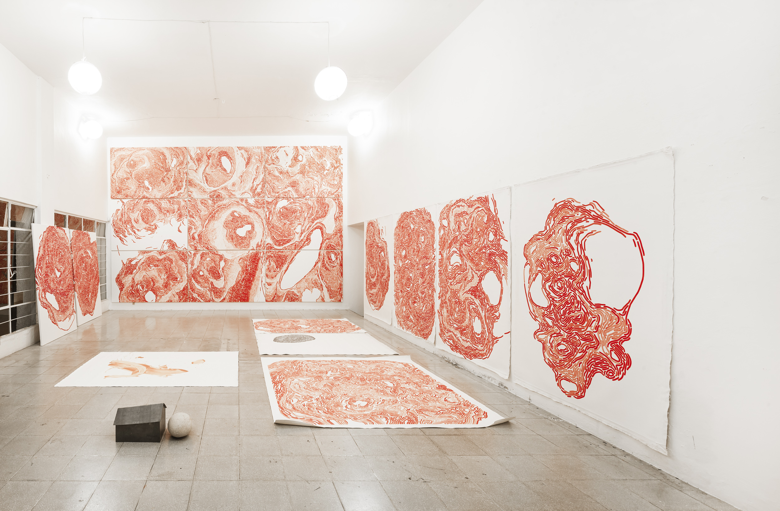 De la serie Árbol de familia (vista de estudio)