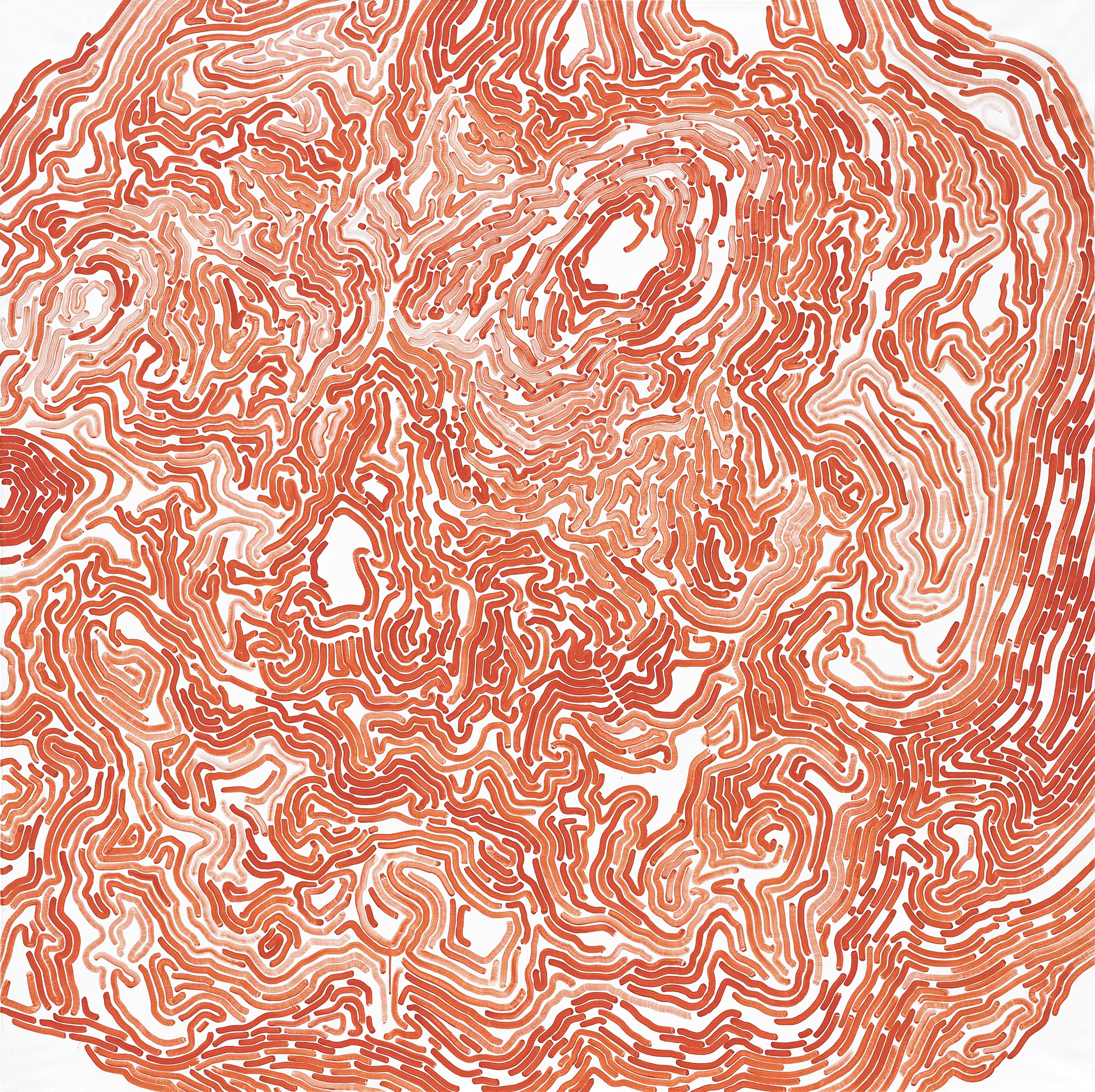 Árbol de familia II